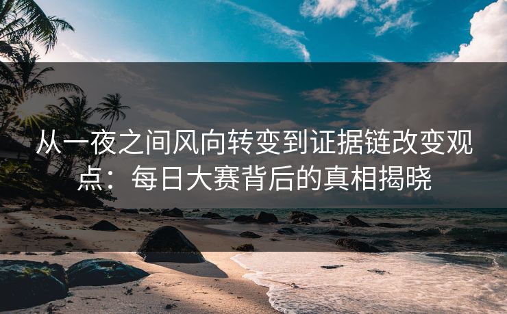 从一夜之间风向转变到证据链改变观点：每日大赛背后的真相揭晓