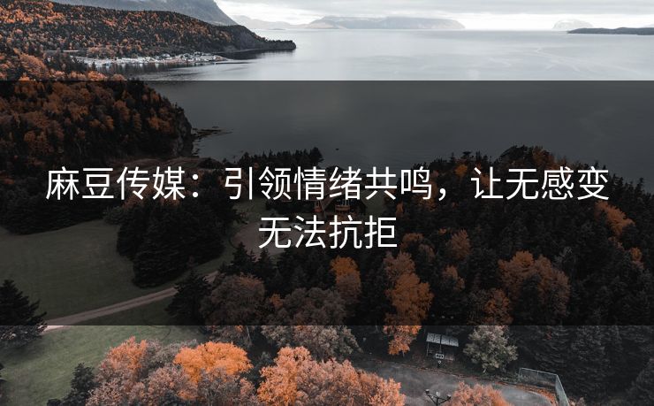 麻豆传媒：引领情绪共鸣，让无感变无法抗拒